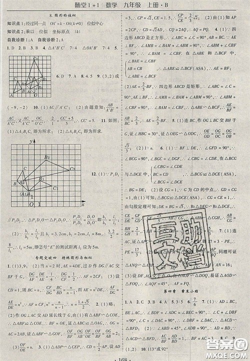 2020年随堂1加1导练九年级数学上册北师大版答案