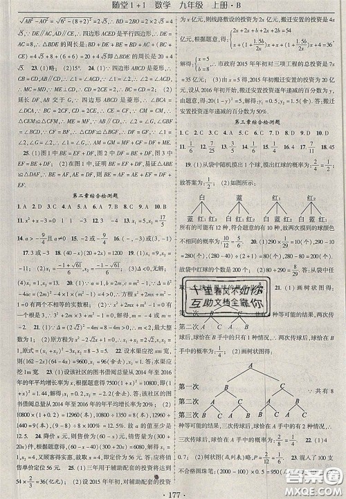 2020年随堂1加1导练九年级数学上册北师大版答案