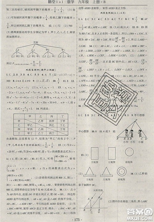 2020年随堂1加1导练九年级数学上册北师大版答案