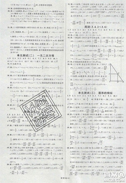 广东经济出版社2020年名校课堂九年级数学上册湘教版答案