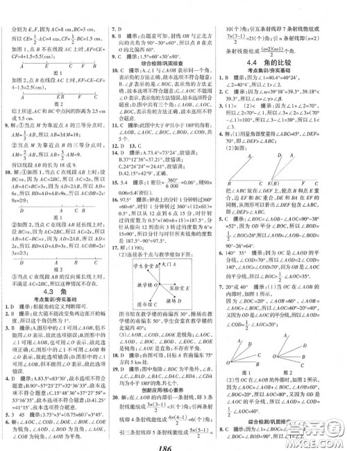 2020年秋全优课堂考点集训与满分备考七年级数学上册北师版答案