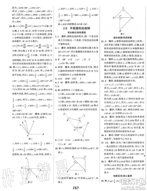 2020年秋全优课堂考点集训与满分备考七年级数学上册冀教版答案