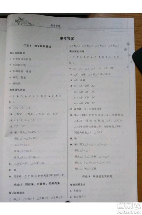 2019年暑假作业七年级数学人教版参考答案