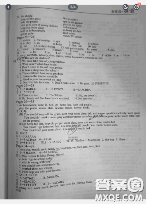 南方出版社2020暑假课程练习五年级英语通用版答案