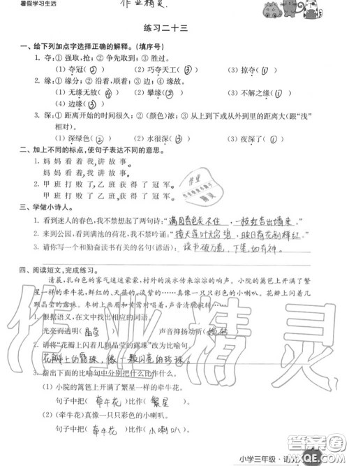 译林出版社2020年暑假学习生活三年级合订本通用版答案