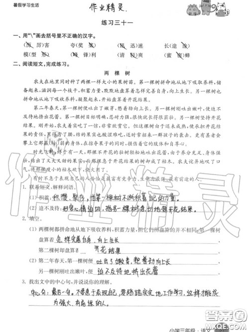 译林出版社2020年暑假学习生活三年级合订本通用版答案