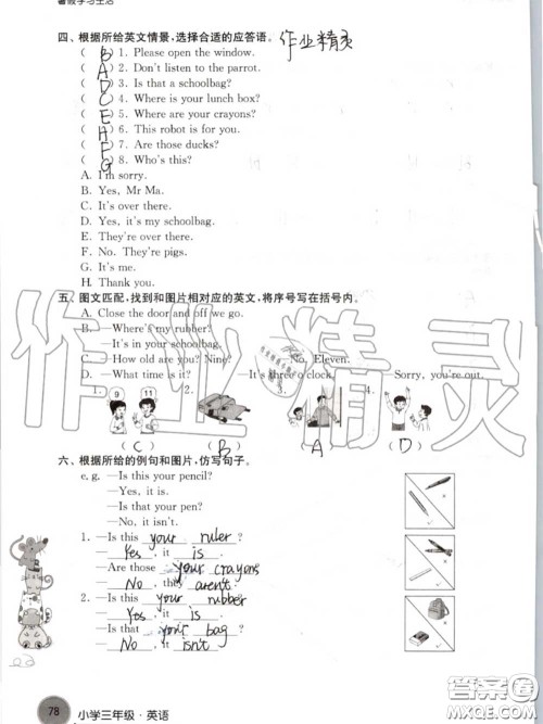 译林出版社2020年暑假学习生活三年级合订本通用版答案