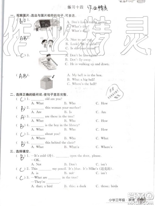 译林出版社2020年暑假学习生活三年级合订本通用版答案