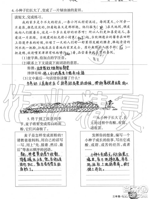 甘肃少年儿童出版社2020年快乐暑假三年级数学语文人教版答案