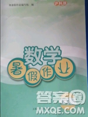 上海科学技术出版社2020年数学暑假作业七年级沪科版答案