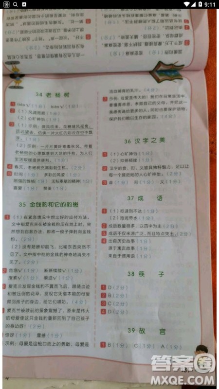 云南美术出版社2020年小学语文新课标阶梯阅读训练四年级通用版答案