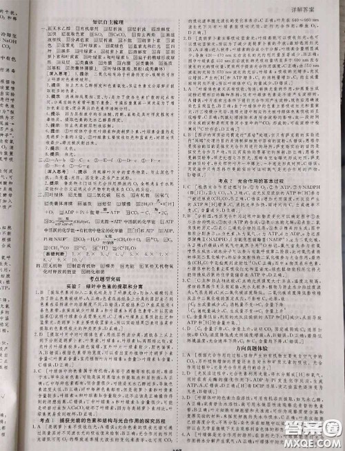 光明日报出版社2020年金版教材高二生物参考答案