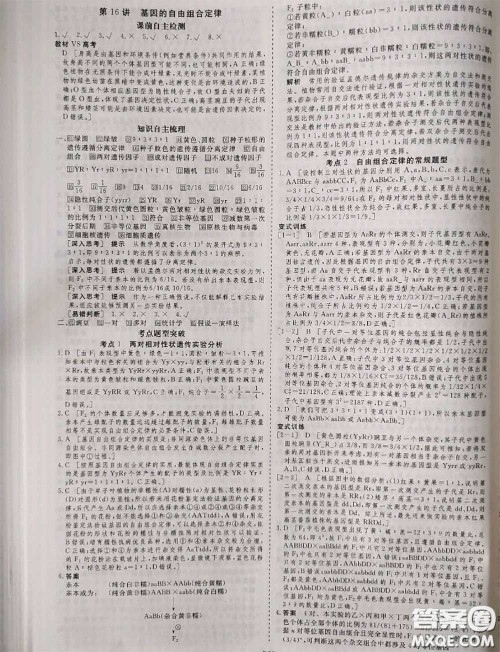 光明日报出版社2020年金版教材高二生物参考答案