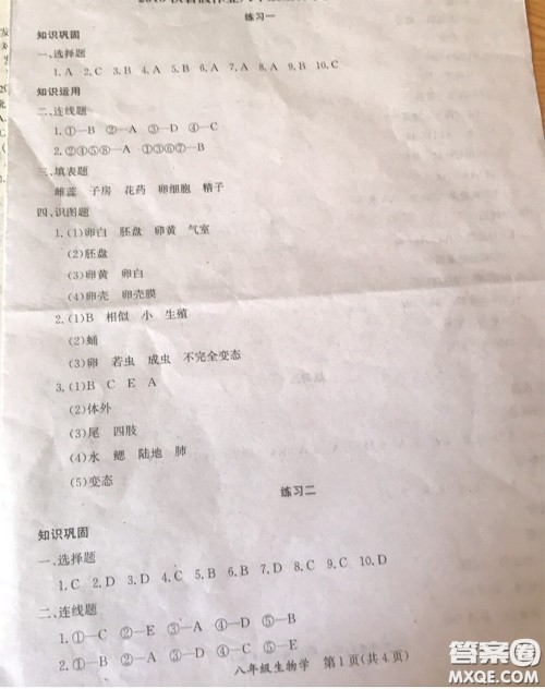 延边教育出版社2020年暑假作业八年级数学英语生物人教版参考答案