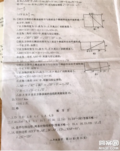 延边教育出版社2020年暑假作业八年级数学英语生物人教版参考答案