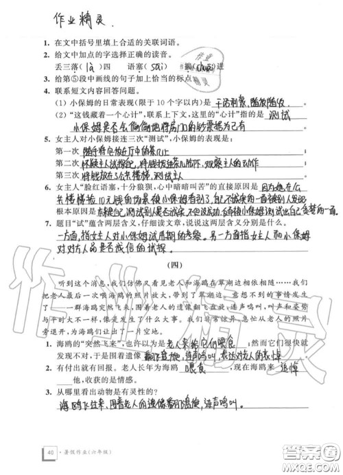 教育科学出版社2020暑假作业六年级合订本通用版参考答案