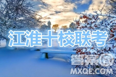 江淮十校2021届高三第一次联考文科数学试题及答案