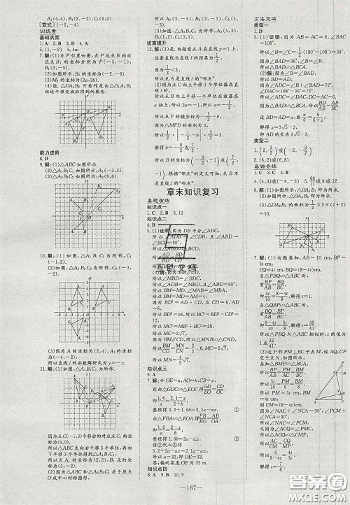 2020年初中同步学习导与练导学探究案九年级数学上册华师大版答案