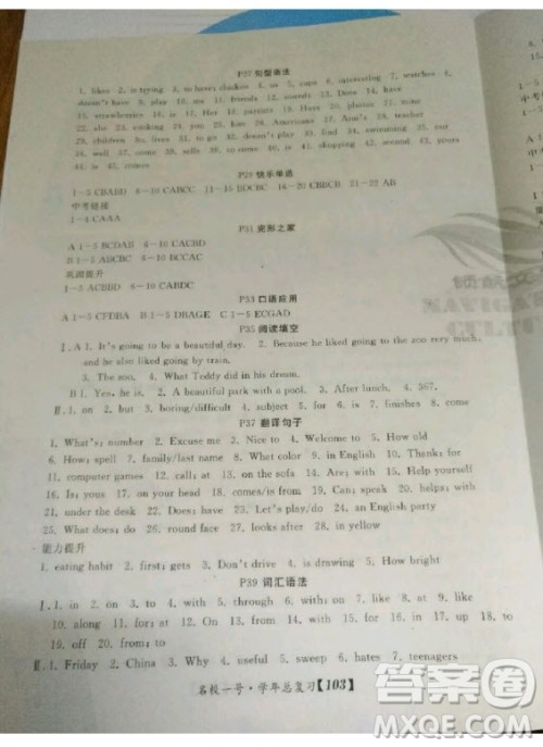 延边大学出版社2020年名校一号学年总复习七年级英语人教版答案