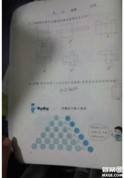 北京师范大学出版社2020年暑假生活五年级数学北师版参考答案 北京师范大学出版社2020年暑假生活五年级数学北师版参考答案