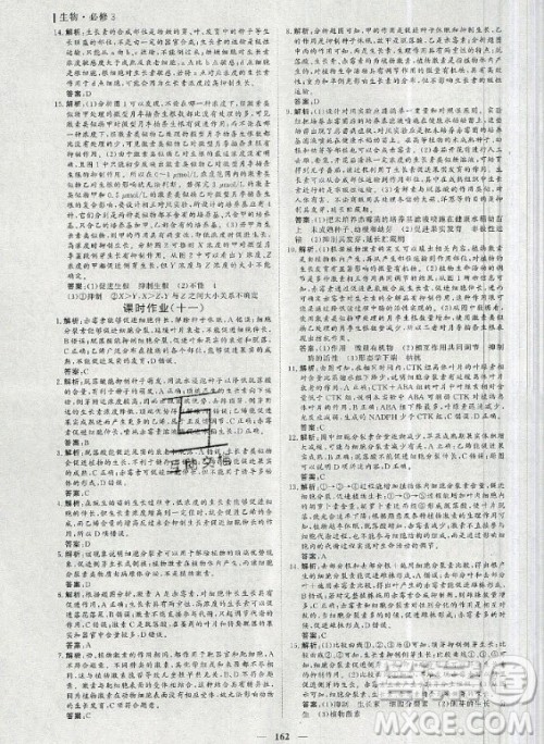 2020年优化探究同步导学案生物必修3人教版答案