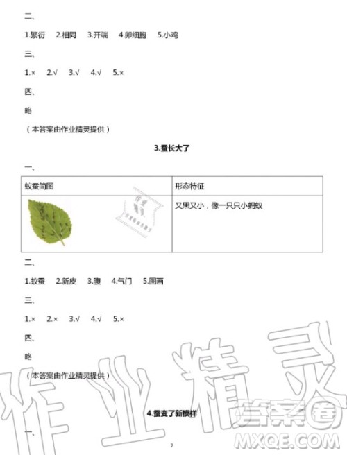 教育科学出版社2020年暑假作业三年级科学教科版答案