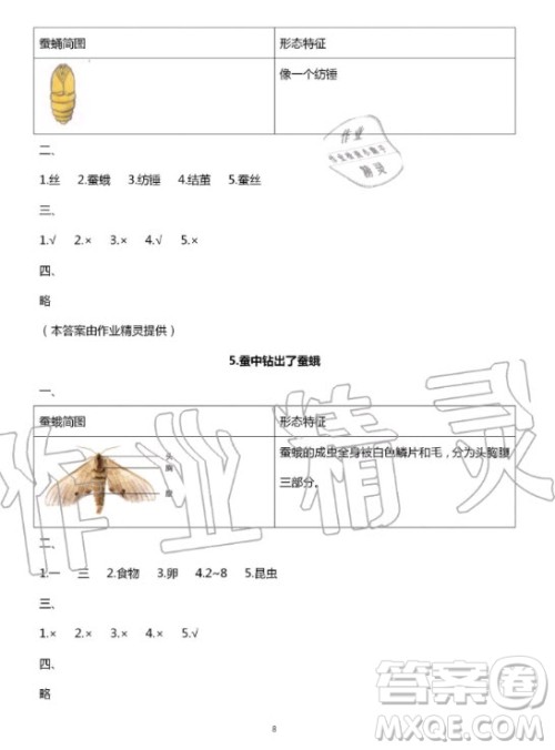 教育科学出版社2020年暑假作业三年级科学教科版答案