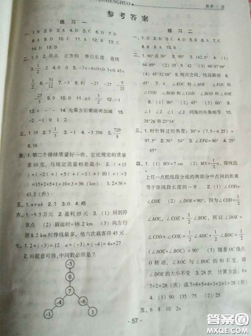 河北人民出版社2020年假期生活寒假七年级数学冀教版答案