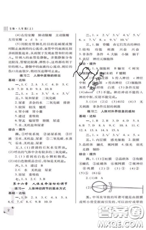 2020年课堂练习册八年级生物上册D版答案 2020年课堂练习册八年级生物上册D版答案