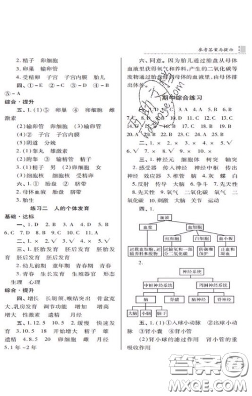 2020年课堂练习册八年级生物上册D版答案