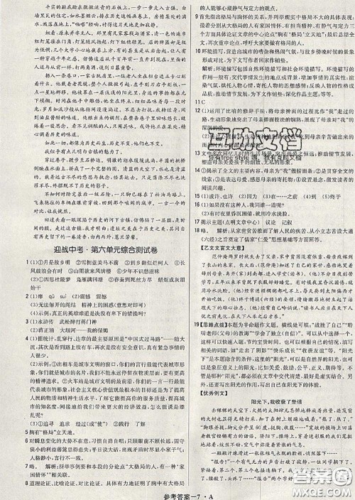 2020年秋1加1轻巧夺冠优化训练九年级语文上册人教版参考答案