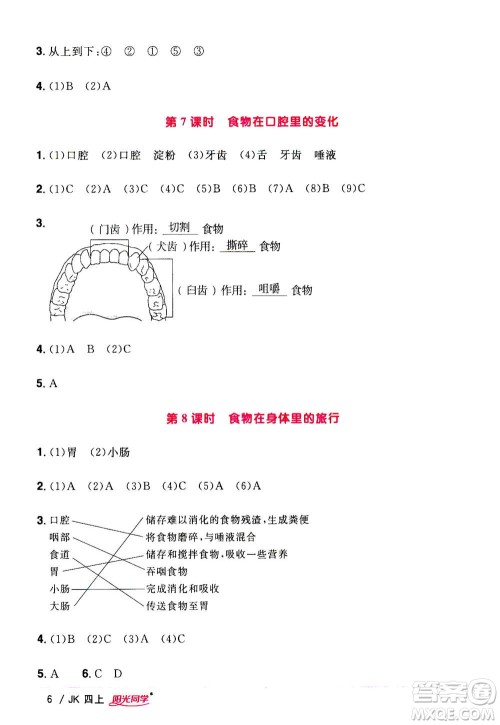 2020年阳光同学课时优化作业科学四年级上册JK教科版答案