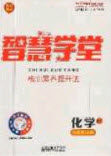 2020智慧学堂核心素养提升法九年级化学上册科粤版答案
