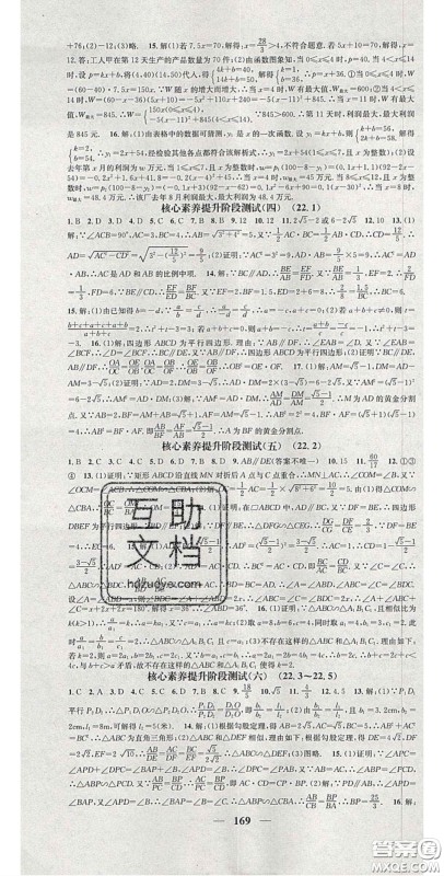 2020智慧学堂核心素养提升法九年级数学上册沪科版安徽答案 2020智慧学堂核心素养提升法九年级数学上册沪科版安徽答案