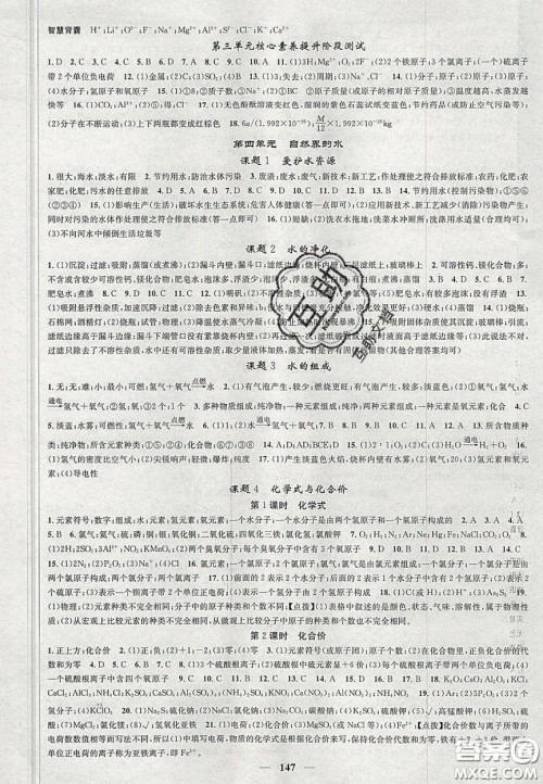 2020智慧学堂核心素养提升法九年级化学上册人教版答案
