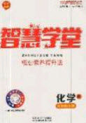2020智慧学堂核心素养提升法九年级化学上册人教版答案