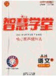 2020智慧学堂核心素养提升法九年级物理上册人教版安徽专用答案