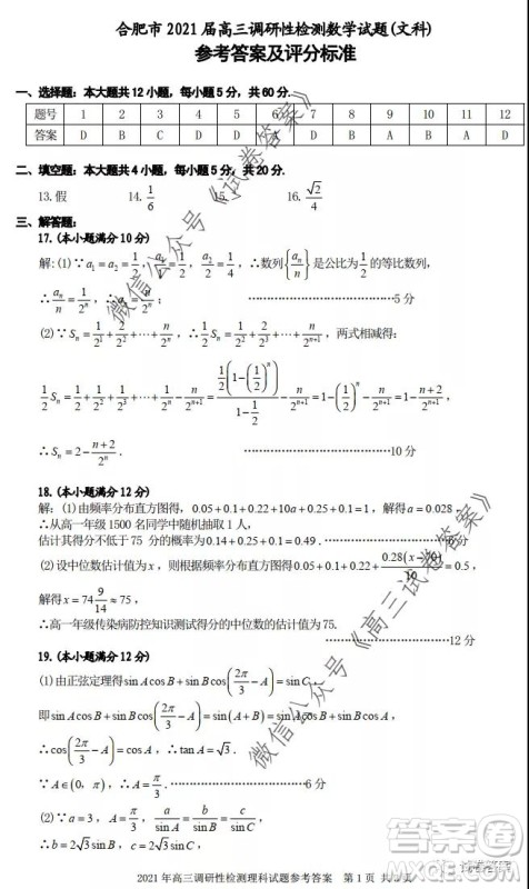 合肥市2021届高三调研性检测文科数学试题及答案