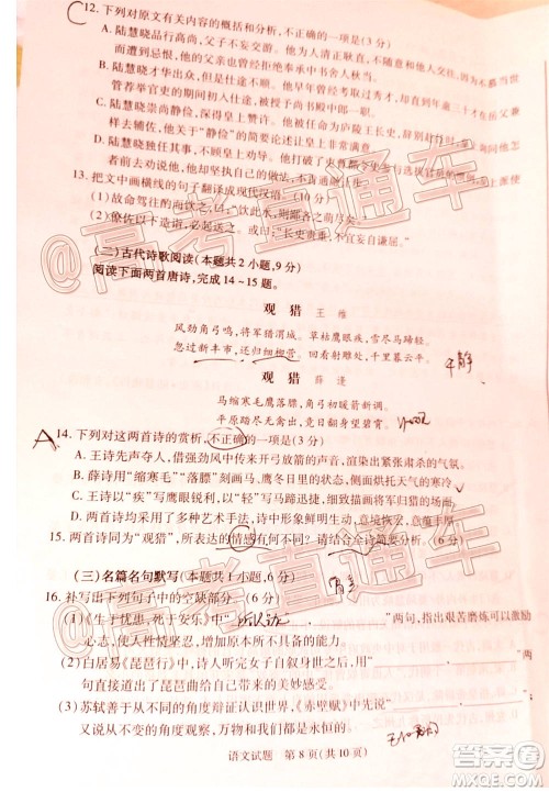 合肥市2021届高三调研性检测语文试题及答案 合肥市2021届高三调研性检测语文试题及答案