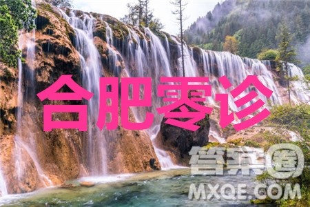 合肥市2021届高三调研性检测英语试题及答案