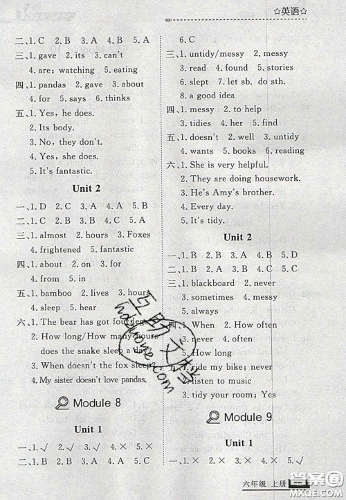 2020年学习之星培优计划六年级英语上册外研版答案