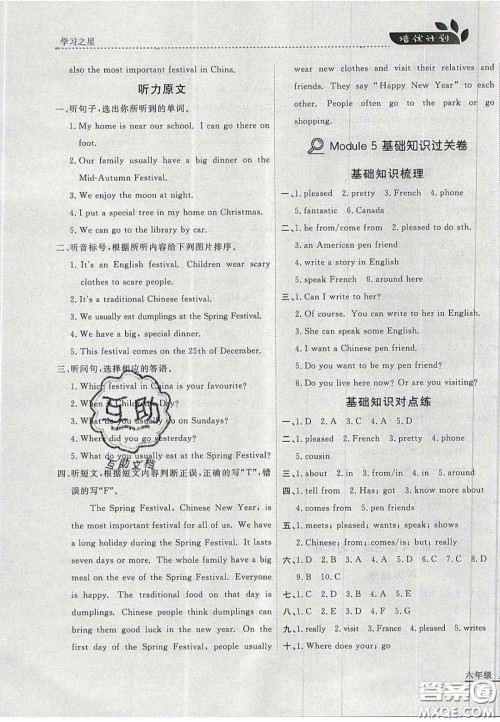 2020年学习之星培优计划六年级英语上册外研版答案