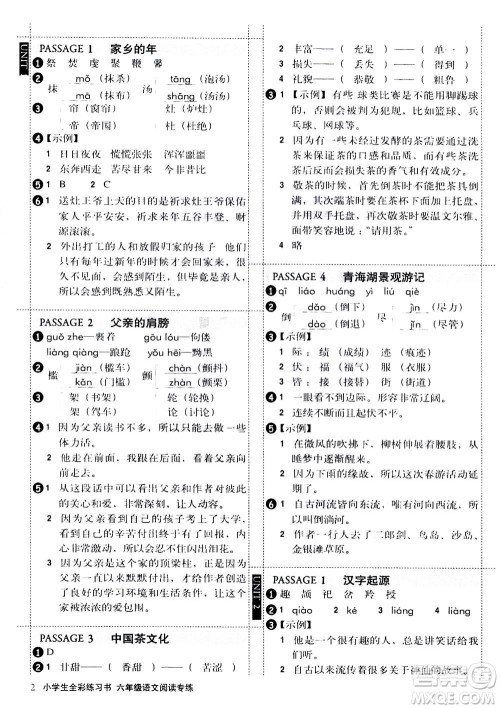 2020年小学生全彩练习本语文阅读专练六年级通用版答案