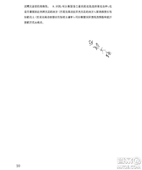 江苏凤凰教育出版社2020小学语文补充习题五年级上册答案 江苏凤凰教育出版社2020小学语文补充习题五年级上册答案