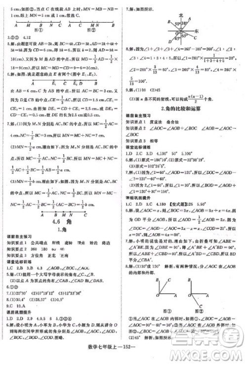 河北少年儿童出版社2020年学练优七年级上册数学HS华师大版答案