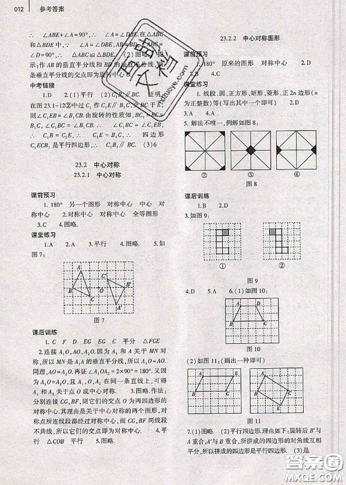 大象出版社2020年基础训练九年级数学全一册人教版参考答案