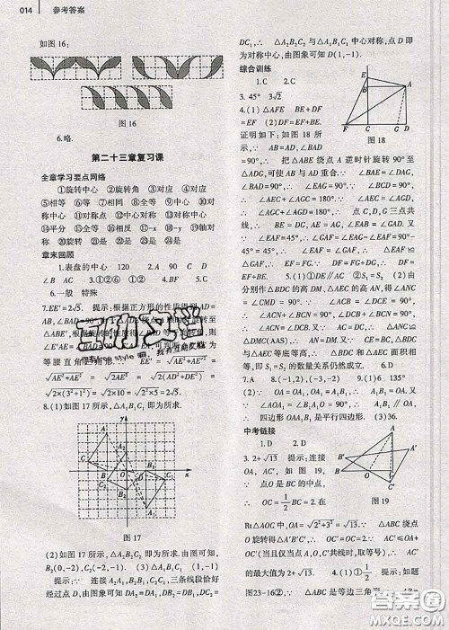 大象出版社2020年基础训练九年级数学全一册人教版参考答案