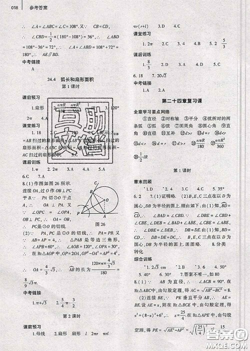 大象出版社2020年基础训练九年级数学全一册人教版参考答案
