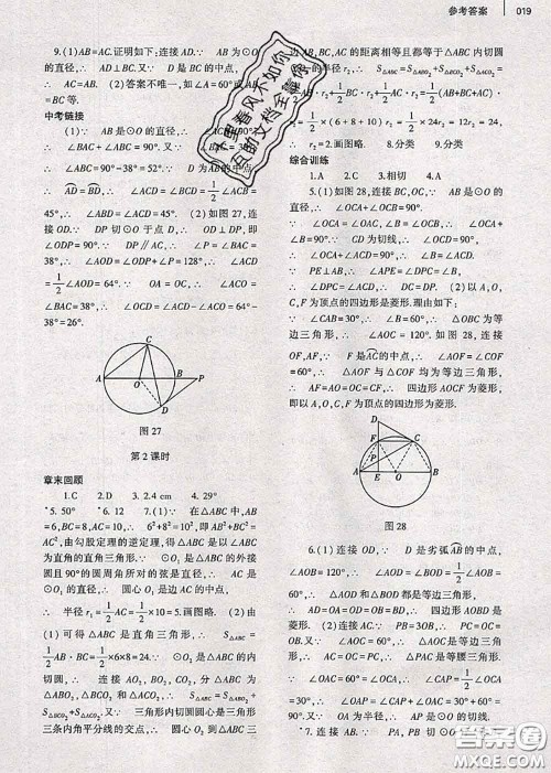 大象出版社2020年基础训练九年级数学全一册人教版参考答案