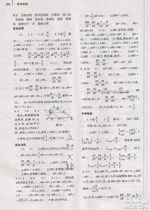 大象出版社2020年基础训练九年级数学全一册人教版参考答案